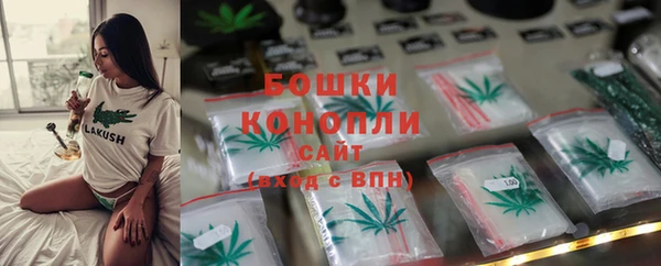 крисы Алагир