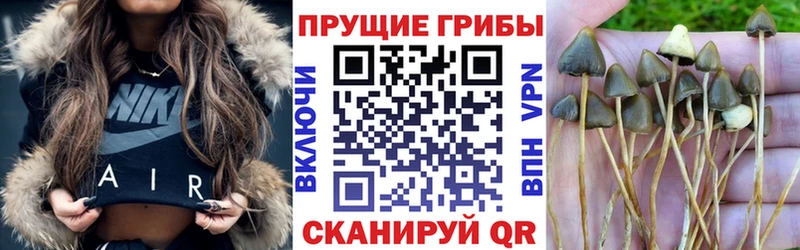 Псилоцибиновые грибы мухоморы  Заринск 