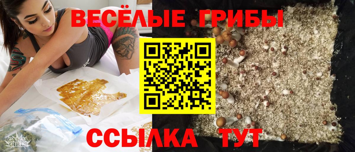 Галлюциногенные грибы прущие грибы  Вход с VPN  Заринск  дарнет шоп  Псилоцибиновые грибы Magic Shrooms 