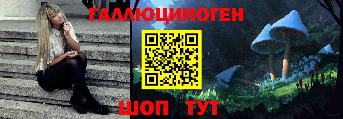 Галлюциногенные грибы GOLDEN TEACHER Заринск